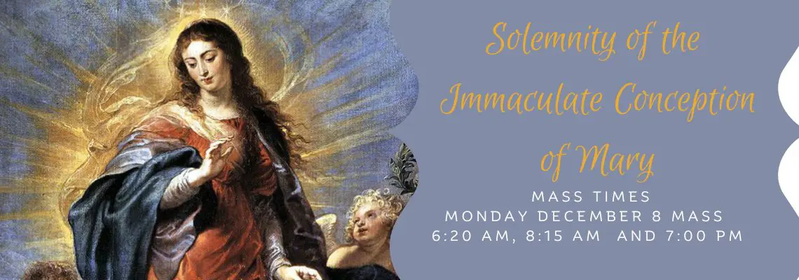 The Solemnity of the Immaculate Conception 2025