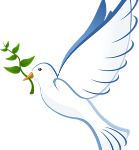 dove-peace-olive-branch