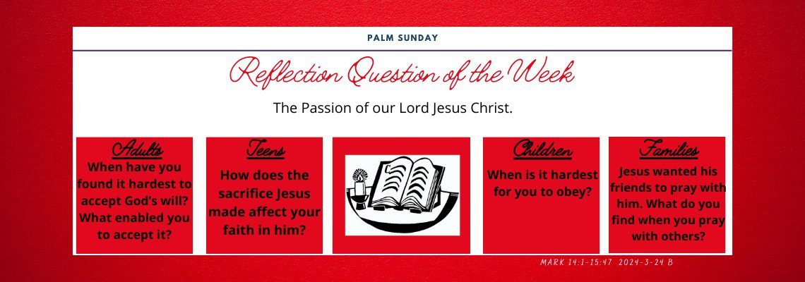 Reflection Question of the Week